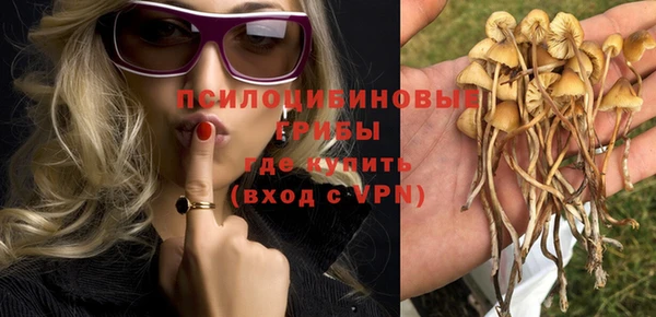 метадон Абаза