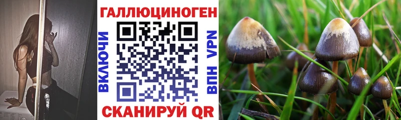 KRAKEN ссылка  Сысерть  Псилоцибиновые грибы прущие грибы 